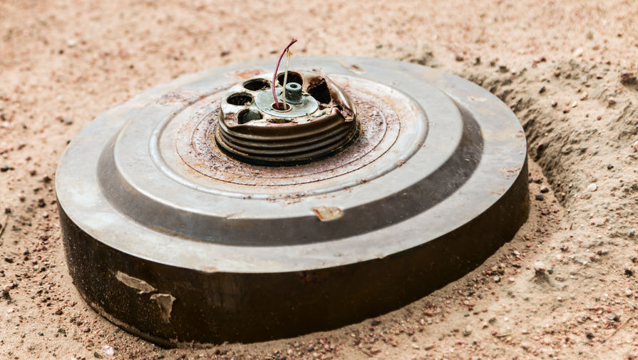 В ЛНР заявили, что на разминирование республики уйдут десятки лет