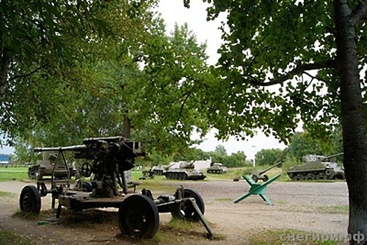 Активисты РВИО и «Молодой гвардии» проверяют военно‑исторические памятники в Подмосковье