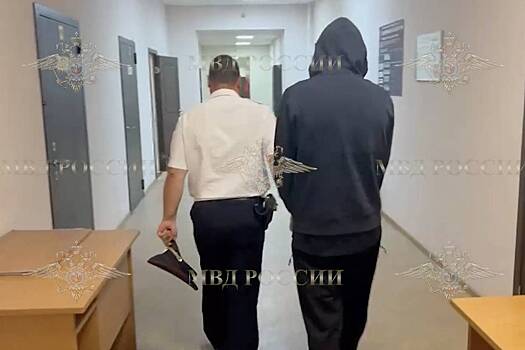 В Подмосковье арестовали мужчину, избившего таксиста