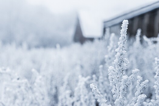 50‐градусные морозы придут в Томск уже на этой неделе