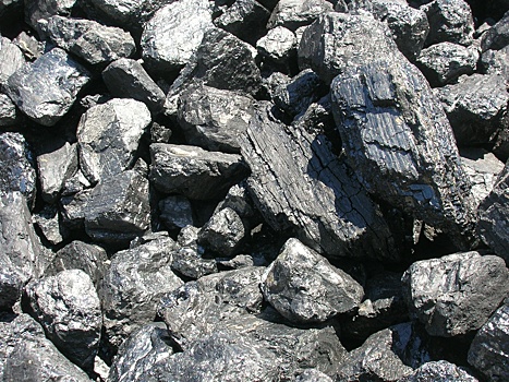 Нижегородская ФСИН закупает уголь за 28,3 млн рублей