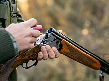 В лесах Беларуси открыт сезон загонной охоты на копытных