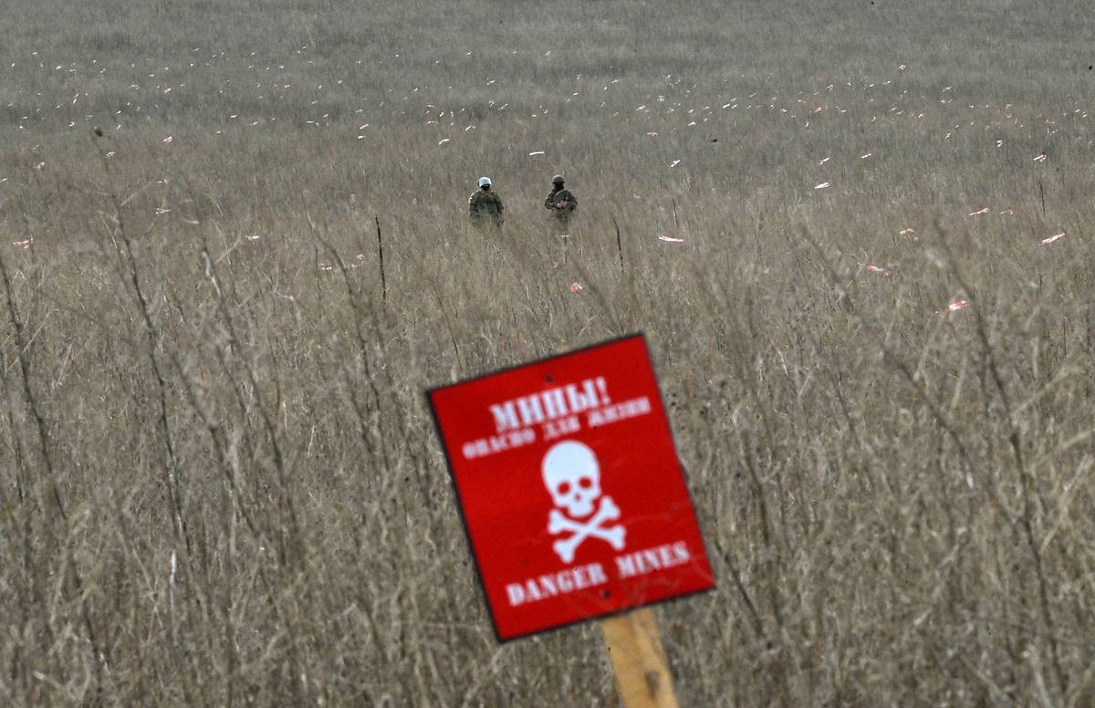 Российский Кабан зачистит территории