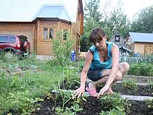 Стоимость аренды коттеджей для отдыха в Нижегородской области снизилась на 10%