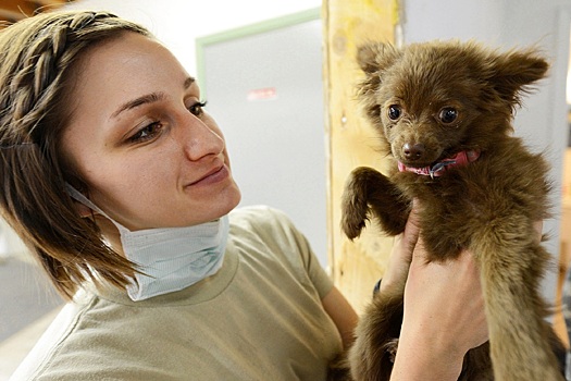 Ветеринар напомнил о необходимости вакцинации собак от бешенства весной