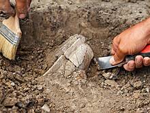 Рабочие случайно нашли в кокосовой роще статую возрастом 1000 лет