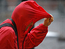 Москвичам посоветовали спрятаться в шкафах