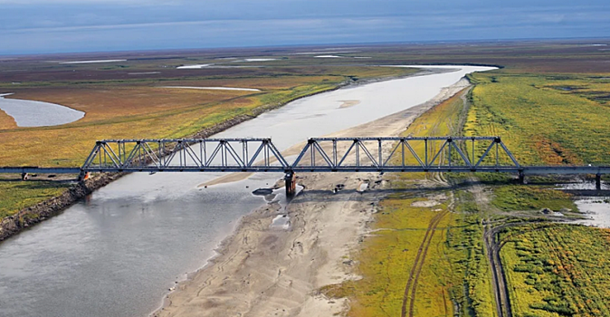 Артюхов назвал гнездовье кречетов на жд мосту уникальным явлением