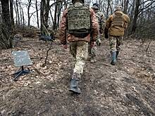 Стало известно о возможном обходе Россией ограничений на применение Starlink