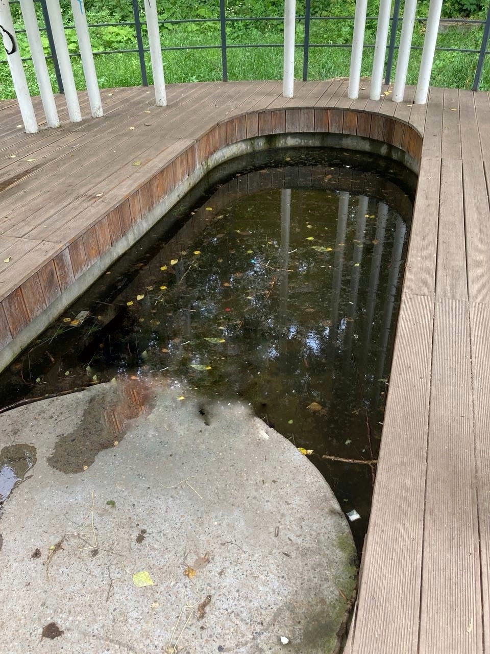 Власти Ижевска обещали прочистить родник в Берёзовой роще
