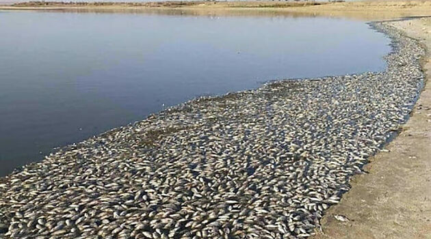 Она задохнулась