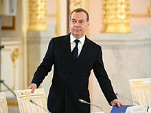 "Отличный выбор": Медведев оценил решение Зеленского