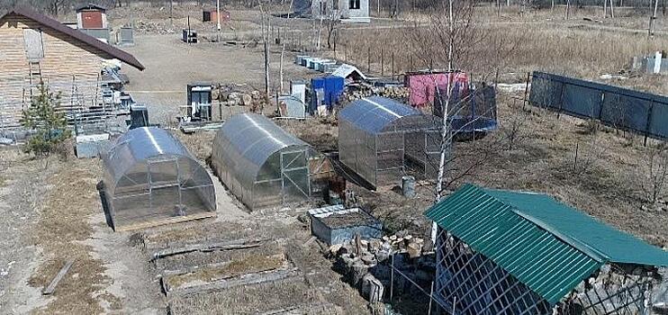 Хабаровчане массово скупают теплицы