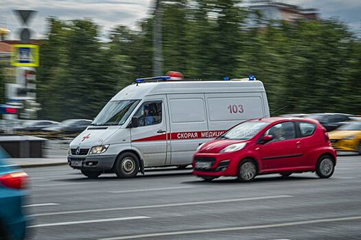 Под Волгоградом в лобовом ДТП погибли двое водителей фур