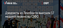 Дзюдоисты из Ленобласти выиграли 17 медалей первенства СЗФО