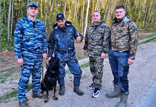 В Вологодской области полицейские нашли пропавшую пенсионерку, заблудившуюся в лесу
