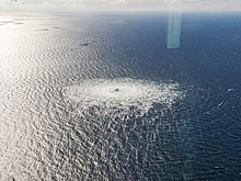 Подозреваемого в причастности к терактам на "Северных потоках" арестовали в Германии