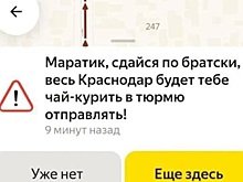 Жители Краснодара попросили разыскиваемого наркомана-рецидивиста сдаться