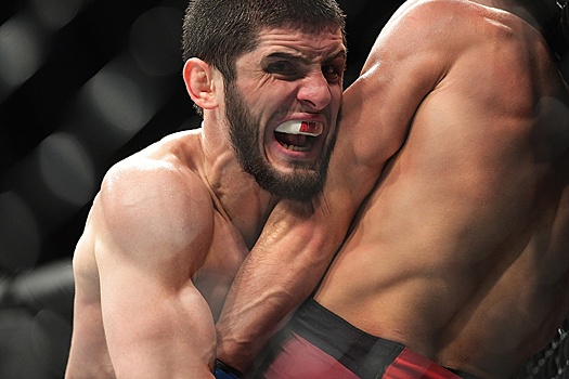 Махачев сразится с обладателем пояса в полусреднем весе Маддаленой