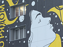 Картина высотой в 9 этажей появилась на фасаде одного из домов на Ленинском проспекте