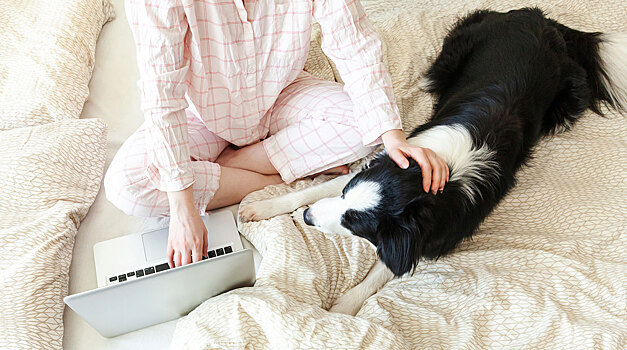 Рост доли одиночных домохозяйств в России угрожает финансовому сектору страны