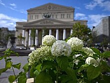 Синоптик Леус: 1 сентября температура воздуха в Москве превысила 29 градусов