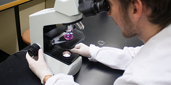 Европу назвали возможной прародиной туберкулеза