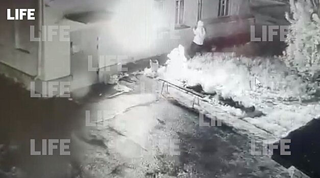 Появилось видео поджога военкомата в Щелкове