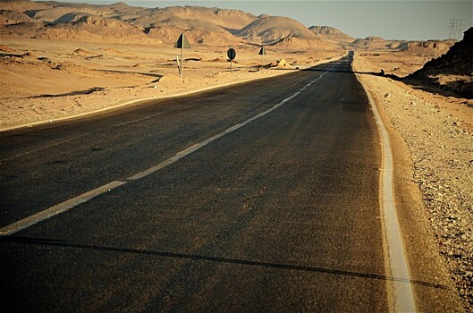 Недоподнятая целина: зачем Египту чудесный оазис посреди пустыни