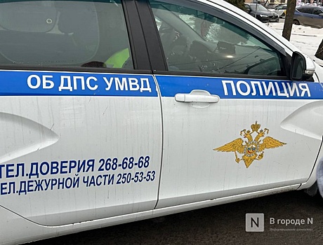 Появились первые подробности ДТП с двумя погибшими в Нижегородской области