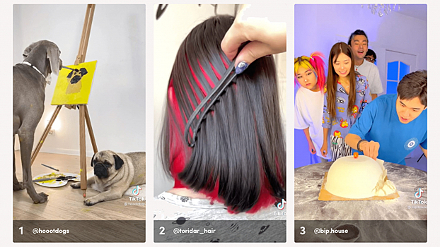 Рисующая собака, цветные волосы и лайфхаки: TikTok назвал популярные ролики в 2021 году