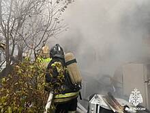 В Ульяновске из пожара спасли животных