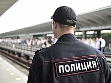 Пьяный мужчина подрался с пассажирами в вагоне московского метро