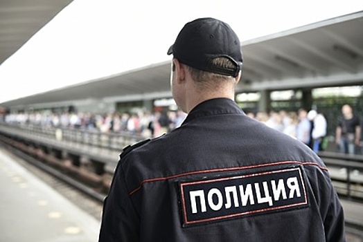 Пьяный мужчина подрался с пассажирами в вагоне московского метро