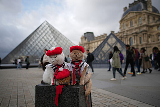 Сотрудники Лувра снова начали забастовку