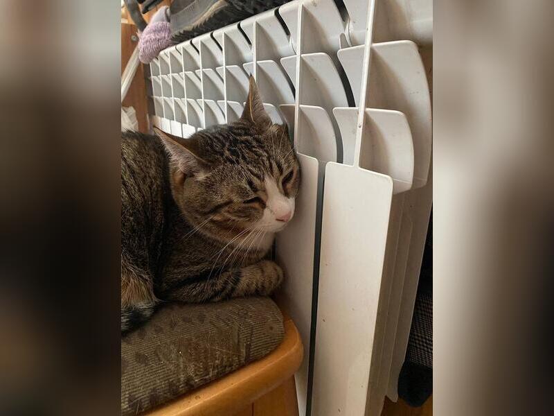 Прокуратура начала проверку из-за жалоб на отопление в Чите