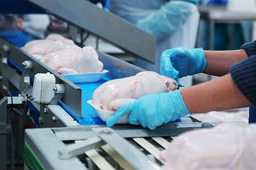 Россия 7 ноября подпишет с КНР договоры о поставках "молочки" и мяса птицы