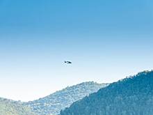 Раскрыты подробности крушения самолета в Подмосковье