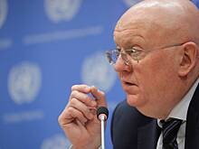 Небензя рассказал о визите вежливости Уолтца