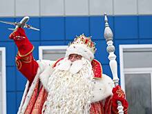 Наряженным в Дедов Морозов россиянам разрешат летать на самолетах за рубль