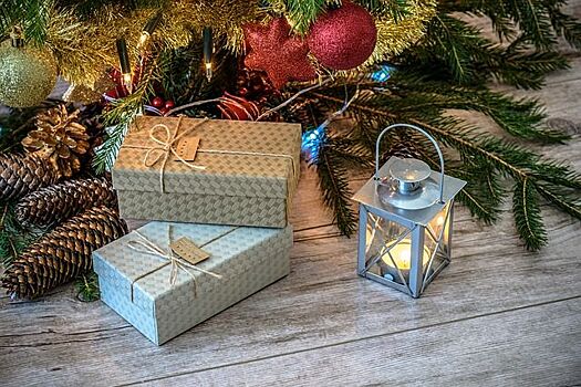 Живую новогоднюю елку в Краснодаре можно будет купить от 500 рублей