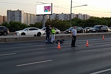 В Москве мотоциклист сбил пешехода