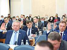 Воронежские депутаты избавили четырех чиновников от приставки и.о