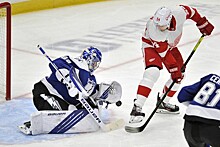 Шайба Наместникова помогла "Детройту" обыграть "Флориду" в матче НХЛ
