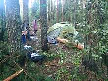 МЧС подвело итог ущерба от урагана в Приволжье