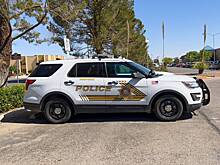 Раскрыта тайна игрушки из «человеческой кожи»