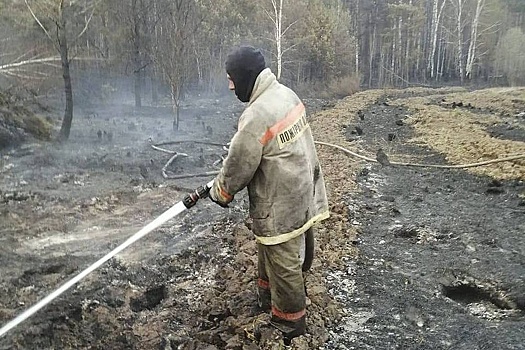Свердловские власти заявили о сокращении площади природных пожаров в два раза