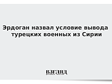 Эрдоган назвал условия вывода войск из Сирии