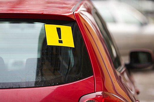 Власти Калининграда ради президентских выборов арендуют 142 автомобиля с водителями