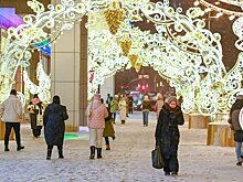 Более 72 тысяч магазинов и кафе украсили к Новому году в Москве – Собянин